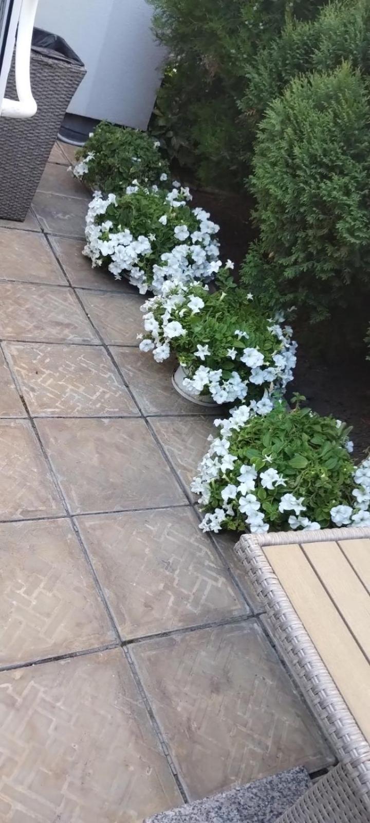 Шляпа Hotel Dnipro Exterior photo